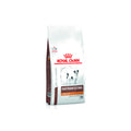 RAÇÃO ROYAL CANIN GATO GASTROINTESTINAL 400G