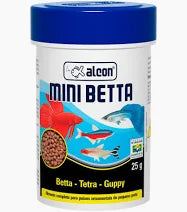 MINI BETTA 4G